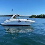 Chaparral Signature 250 2007