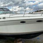 Sea Ray Sundancer 370 1995
