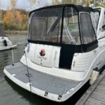 Rinker 300 Express 2006