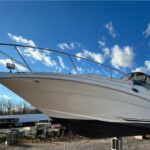 Sea Ray Sundancer 280 2003