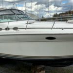 Sea Ray Sundancer 370 1995