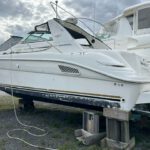 Sea Ray Sundancer 370 1995